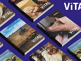 catalogue Vital Concept